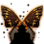 Wings of Lempo icon