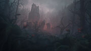 Dark Wood-cncpt