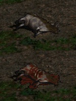 Cowcass