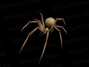 SPIDERLING