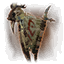 Harvest (pennant) icon