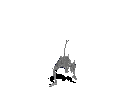 Bone Gasher (Diablo I)