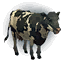 Royal Calf icon