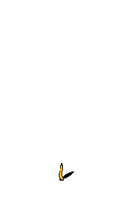 Stardust tree