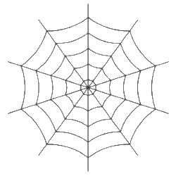 spider web