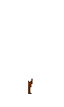 Plain tree