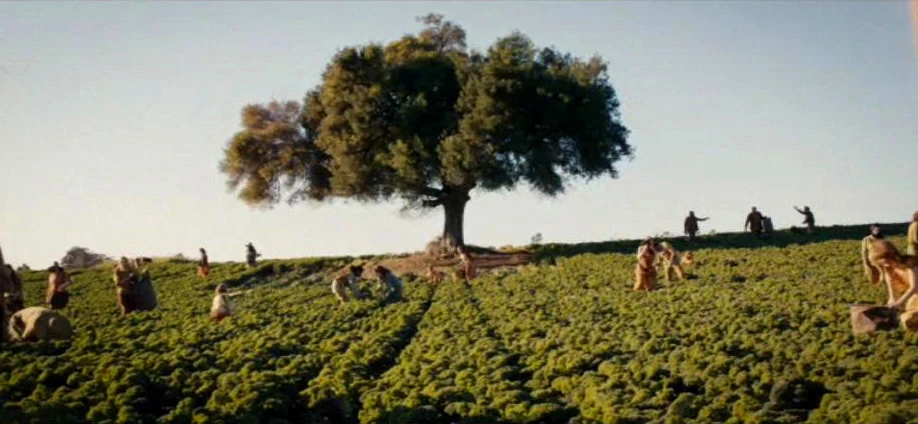 Amite Die Bestimmung Wiki FANDOM powered by Wikia