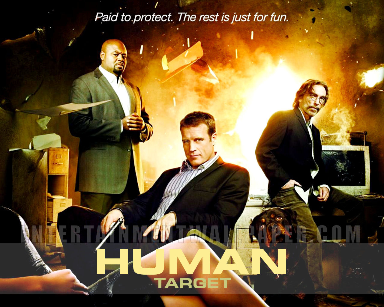 Human Human
