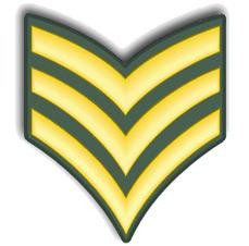 5VStLeutnant