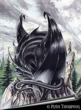 Drache 66