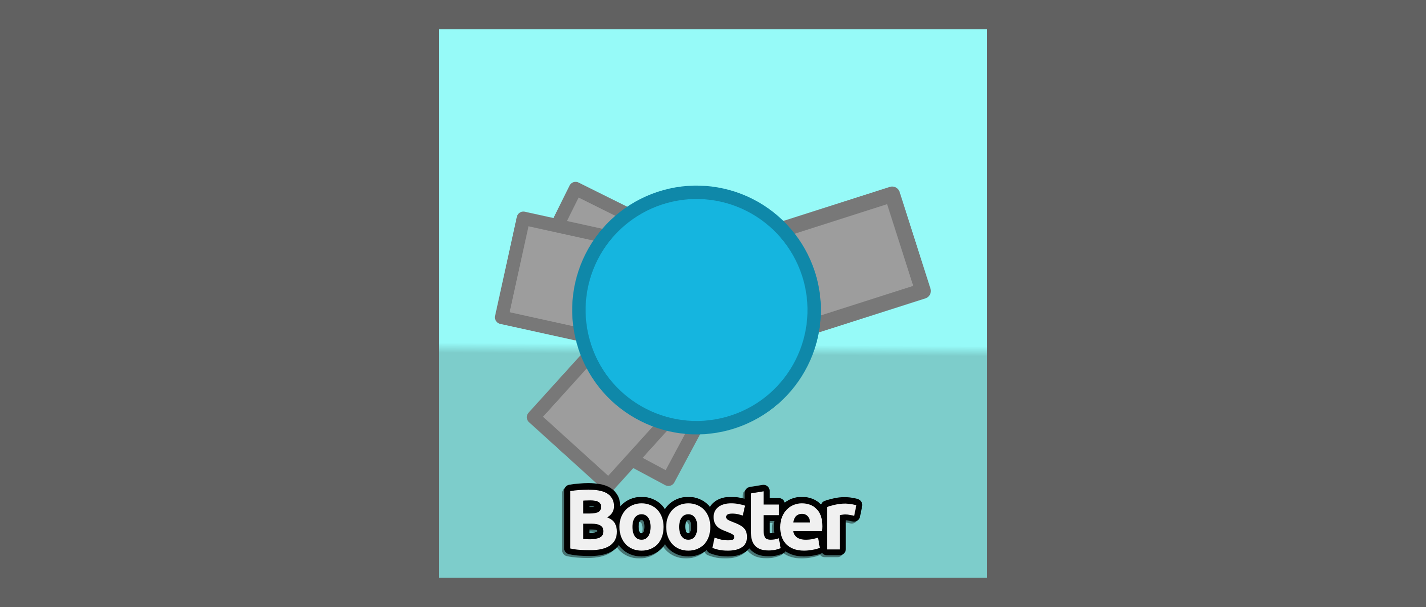 what booster looks like