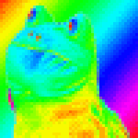 Rainbow frog