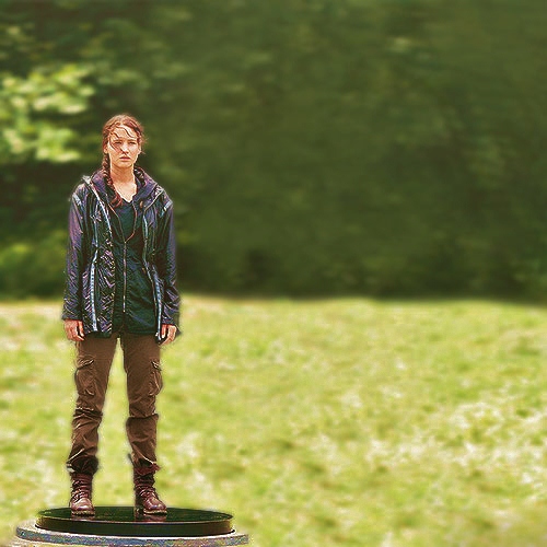 Bild Katnissingames.jpg Die Tribute von Panem Wiki FANDOM powered by Wikia