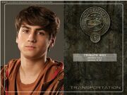 District 6 tribute boy