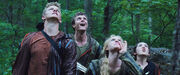 Marvel, Clove, Glimmer, Cato