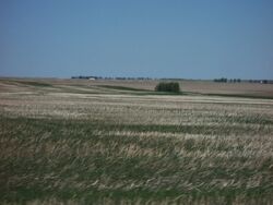 Prairie Alberta