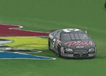 Dale-earnhardt-donut