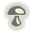 Fungus