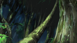 Forest Zone