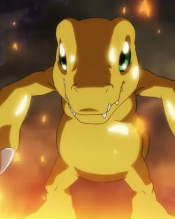 Agumon Digimon Universe Appli Monsters Wiki Fandom