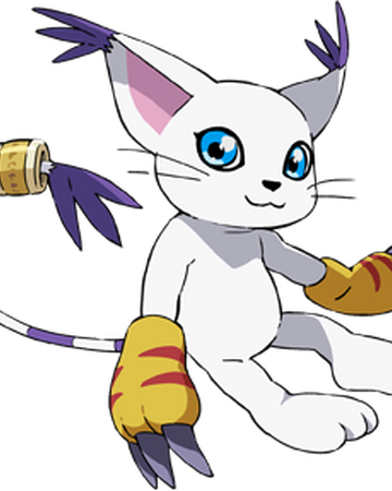 Gatomon Digimon Young Tamers Wiki Fandom