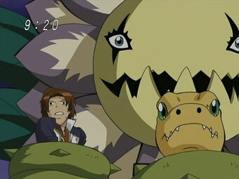 Falcomon Friend Or Foe Digimonwiki Fandom