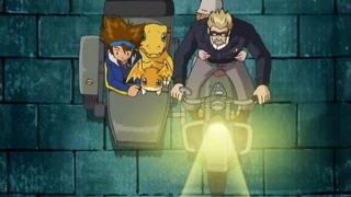 Duel Of The Wargreymon Digimonwiki Fandom Powered By Wikia