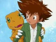 Taichi