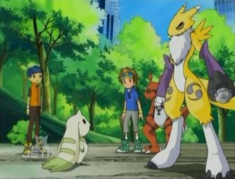 To Fight Or Not To Fight Digimonwiki Fandom