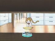 List of Digimon Adventure episodes 31