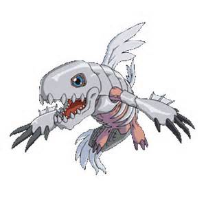 Coelamon PDT