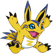 RaiderElecmon