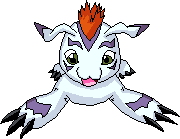 Gomamon2