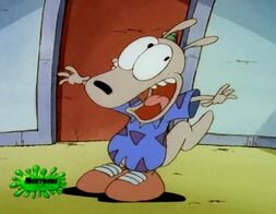 Rocko Wallaby