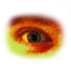 Warriors eye