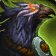 Phenix