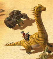 Tom wolfie with dino