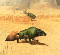 Lvl 5 Entelodon