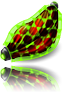 Implant vitality