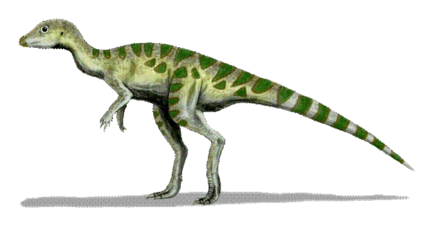 Leaellynasaura | Dinosaur Wiki | FANDOM powered by Wikia