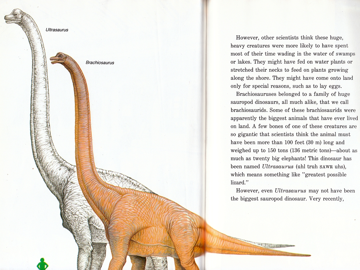ultrasaurus fossil