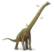 wiki brachiosaurus