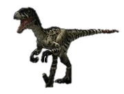 WWD Dromaeosaurus render