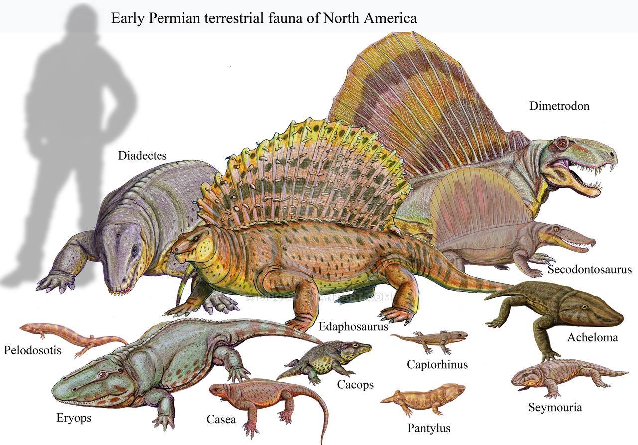 Category:Permian animals | Dinosaur Wiki | FANDOM powered by Wikia