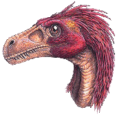 Dromaeosaurus 2