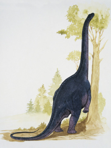 Nemegtosaurus