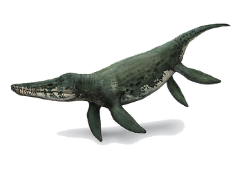 Kronosaurus Dinosaur Wiki Fandom Powered By Wikia - 