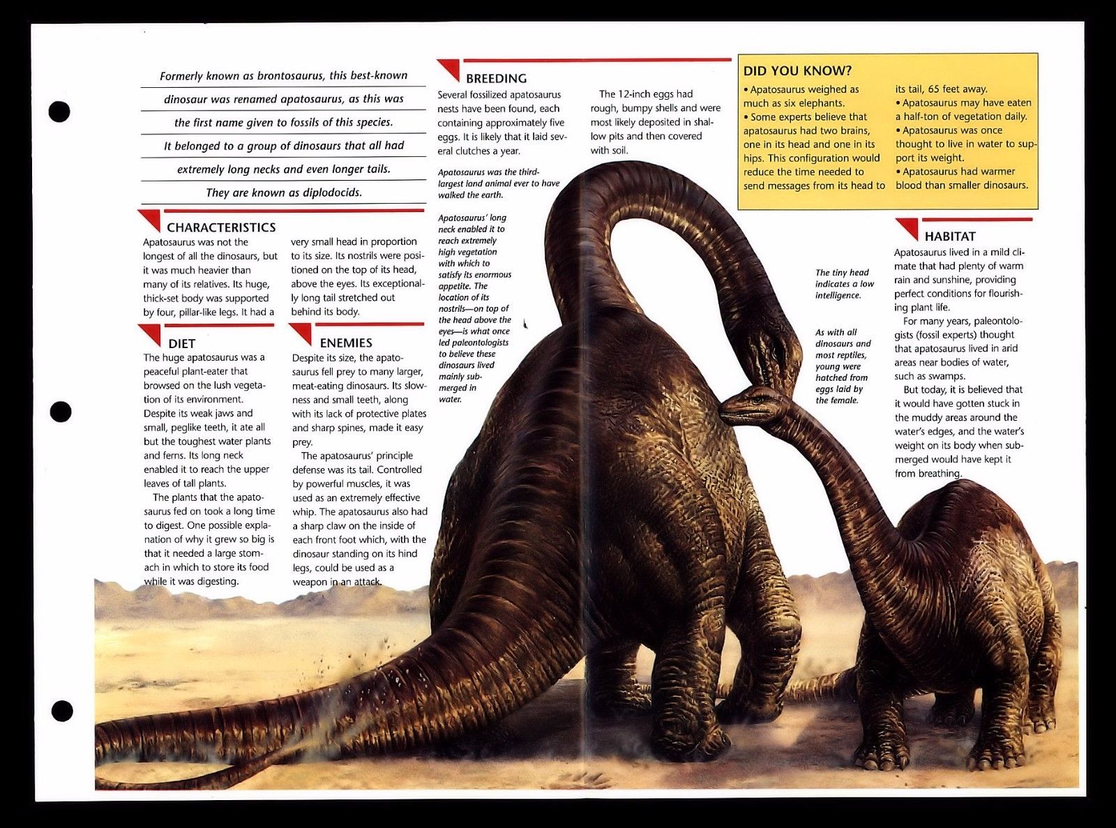 apatosaurus meaning