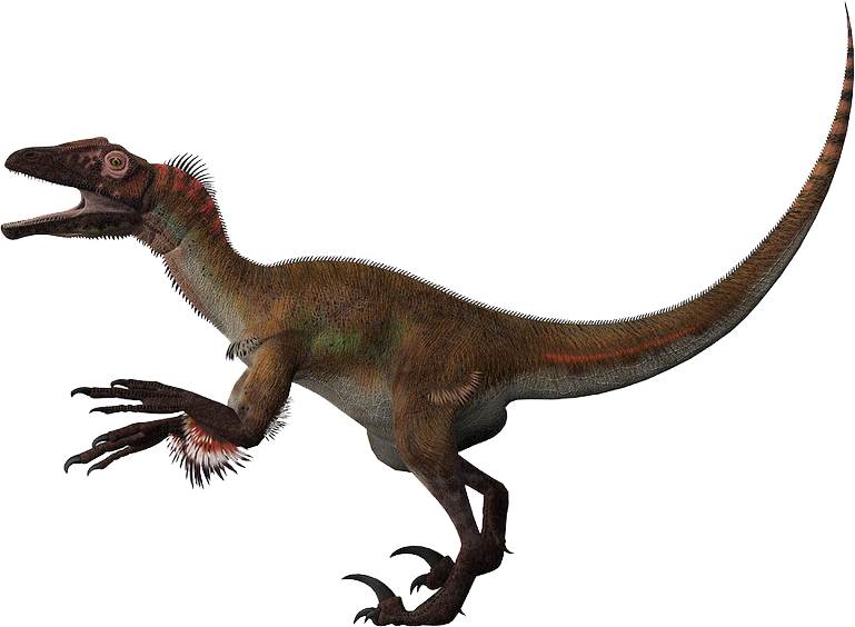 velociraptor and utahraptor