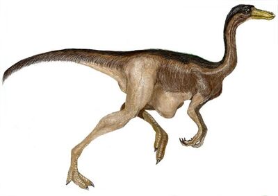 Gallimimus